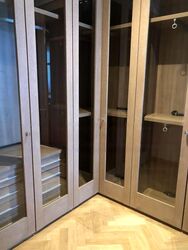 The Ritz-Carlton  (D9), Condominium #485831941